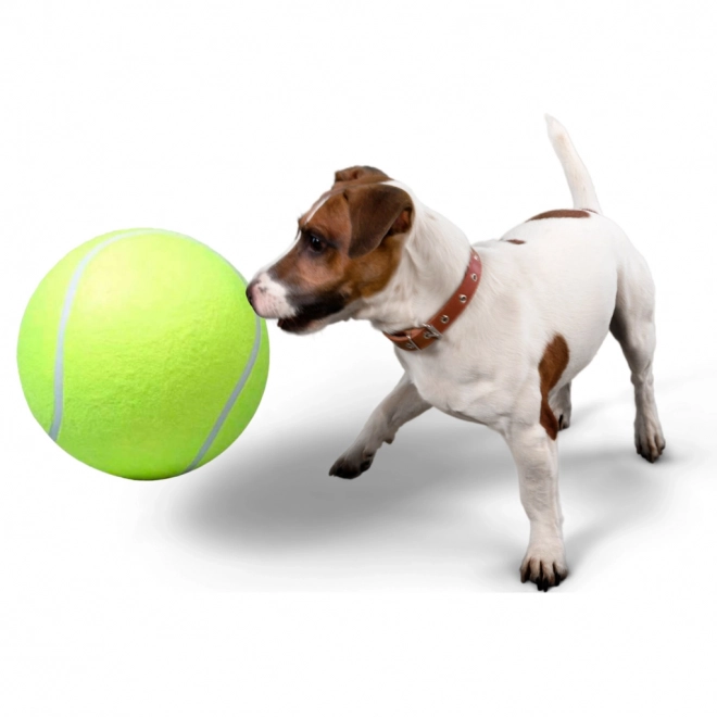 Grote tennisbal voor honden
