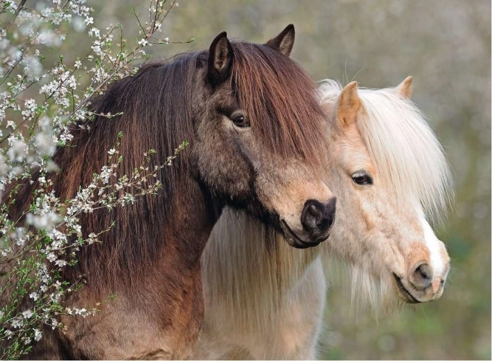Ravensburger Puzzle Perfect Ponies 150 pieces