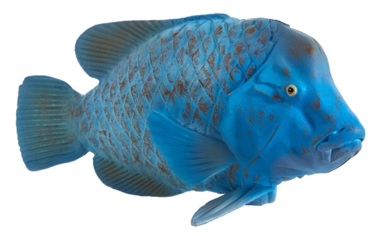 Mojo-Figur Grüne Lippfisch – realistische Tierfigur