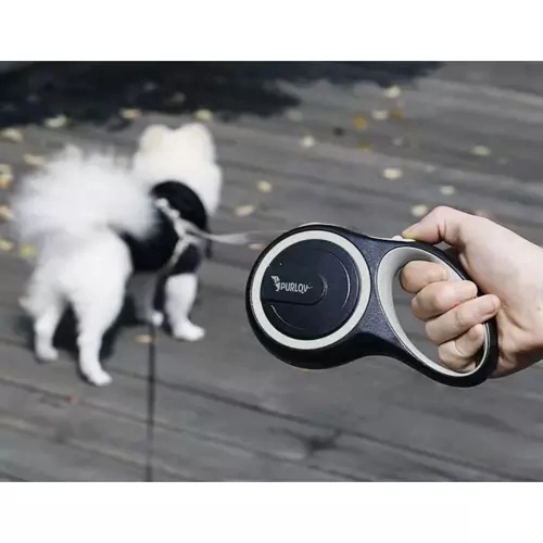 Automatische Hundeleine 5m für Hunde bis 15kg