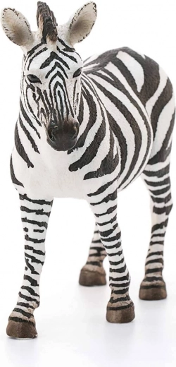 Ideal for collections and learning