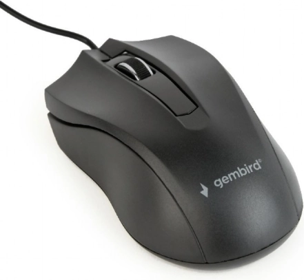 Souris optique noire