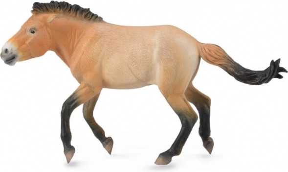 Plastic Figure of Przewalski's Horse