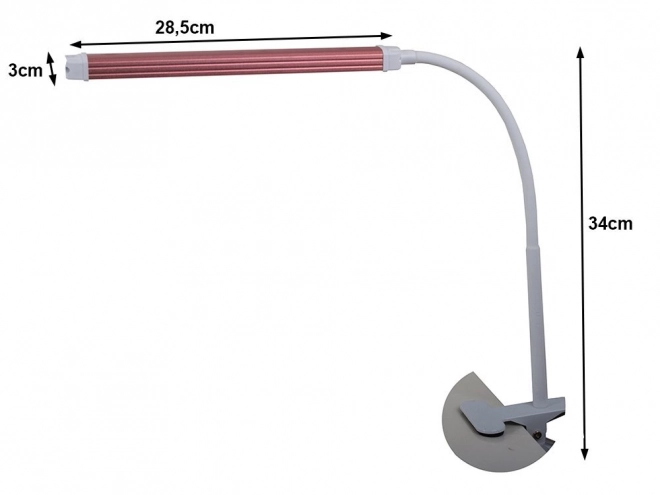 Wireless LED Desk Lamp with Organizer