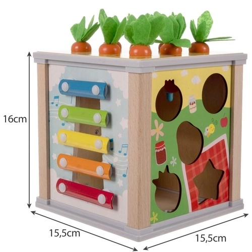 Houten educatieve kubus 5-in-1 voor kinderen
