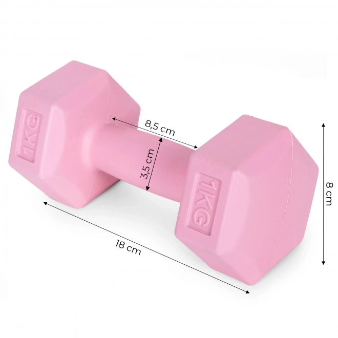 Haltères roses 2x1 kg ModernHome