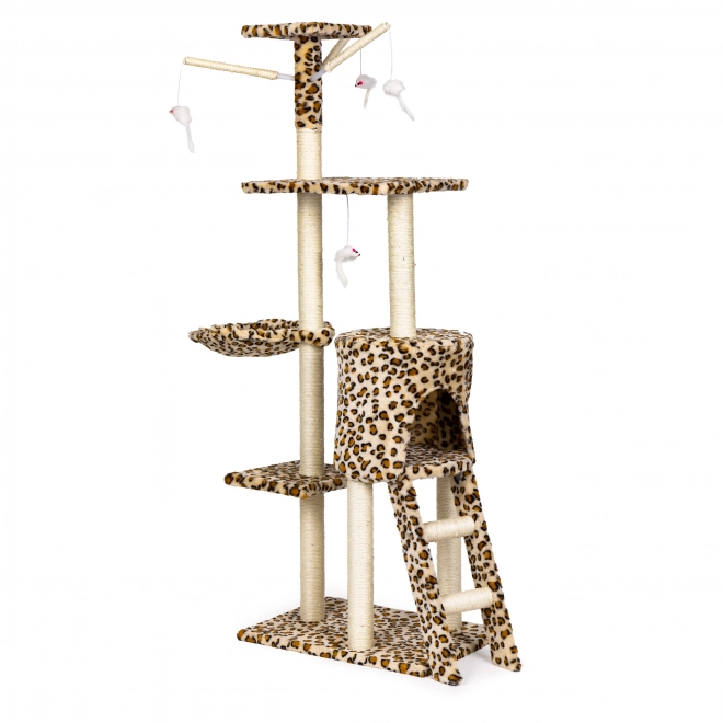 Arbre à chat, maison, arbre, lit, 138cm xl, Panther