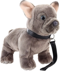Plush French Bulldog with Leash 23 cm