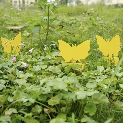 Gele plakkerige insectenvallen 12 stuks