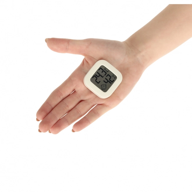 Hygrometer en kamertemperatuurmeter LCD