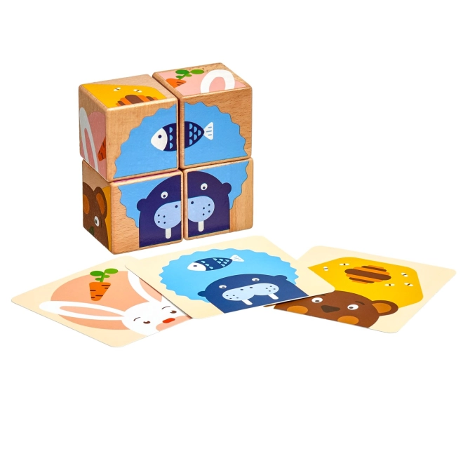 6 colorful animal themes in one set
