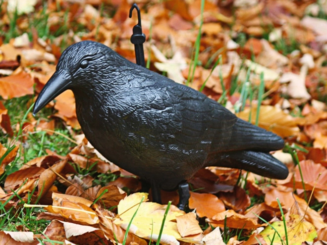Vogelafschrikmiddel spreeuwen duiven knaagdieren groot XXL