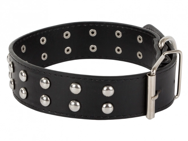 Verstelbare hondenhalsband van ecologisch leer met metalen knoppen