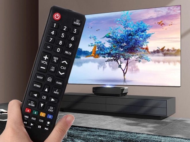 Universalfernbedienung für Samsung Smart TVs