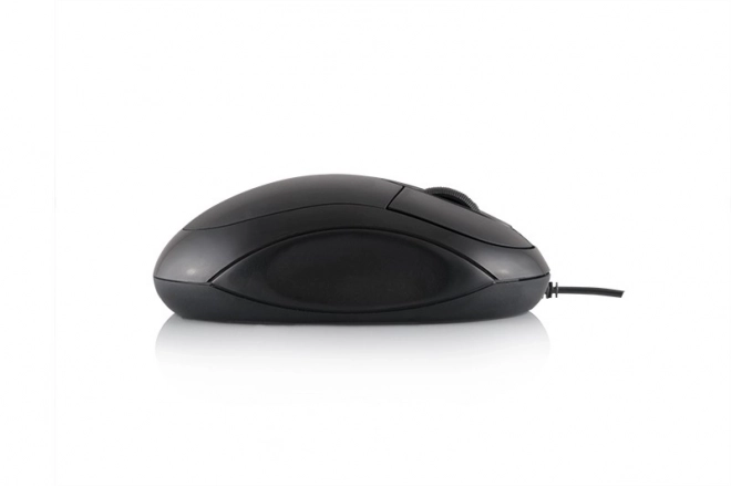 Souris optique Logic LM-11