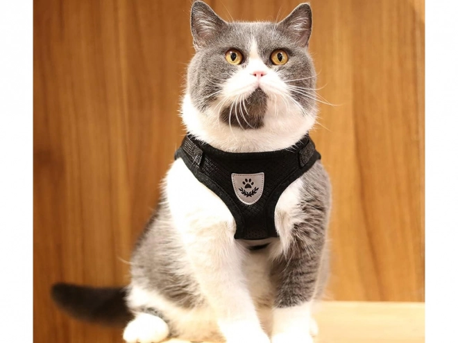 Soft Reflective No-Pull Pet Harness XS for Dogs, Cats, and Rabbits