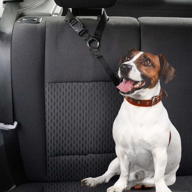 Veiligheidsgordel voor de auto voor hond en kat