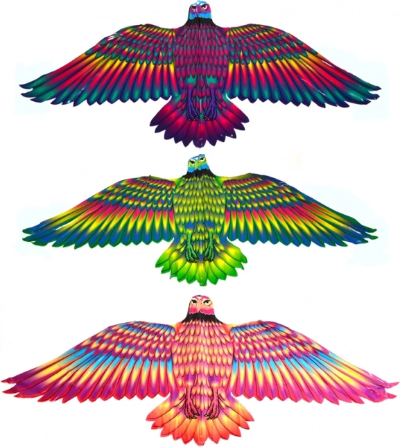 Flying Kite Eagle