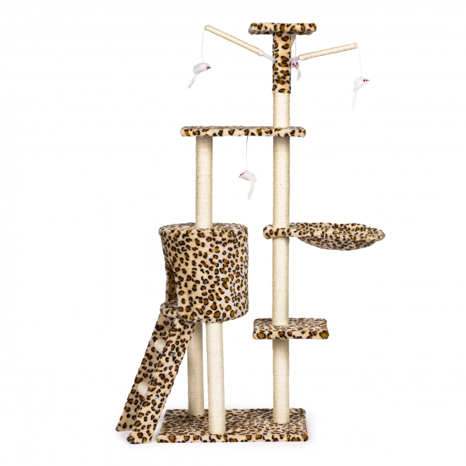 Arbre à chat, maison, arbre, lit, 138cm xl, Panther