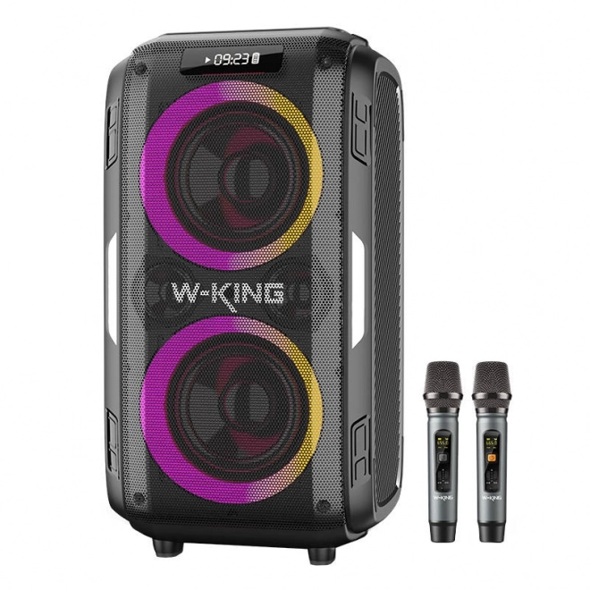 Draadloze Bluetooth-luidspreker W-KING T9 Pro 120W (zwart)