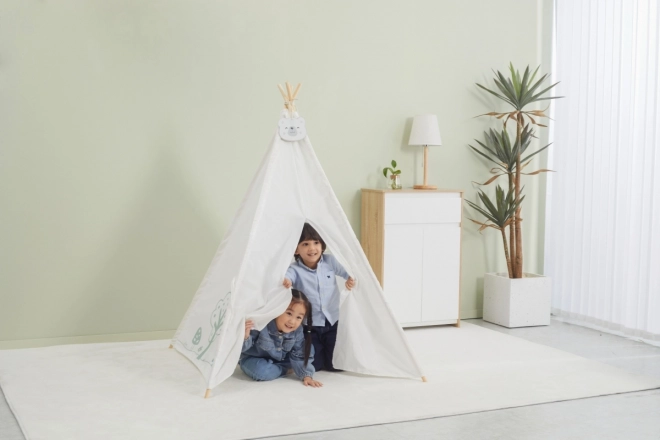 Stan Tipi