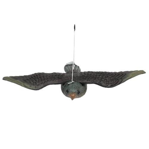 Bird Repellent Falcon