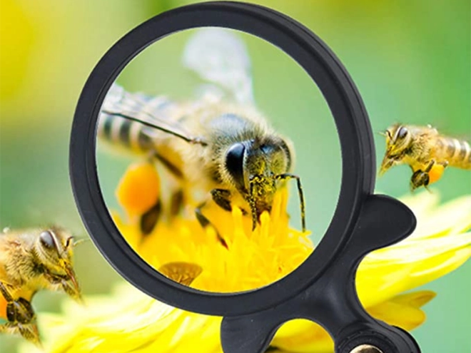 Klares Bild mit 3× Vergrößerung