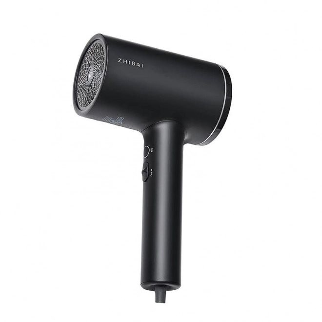 Hair Dryer with Ionization