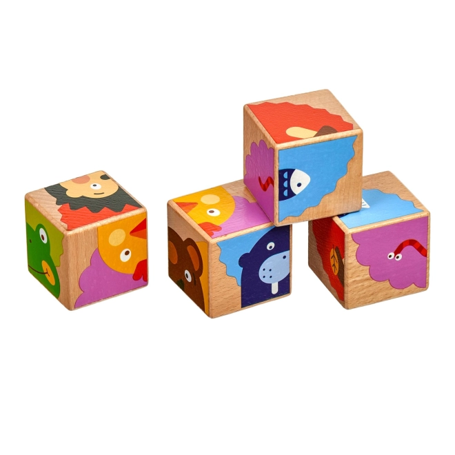 Development of motor skills and logical thinking