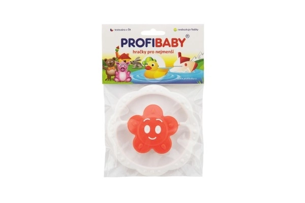 Star Or Flower Rattle