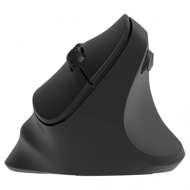 Ergonomic Vertical Wireless Mouse