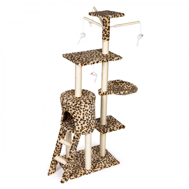 Arbre à chat, maison, arbre, lit, 138cm xl, Panther