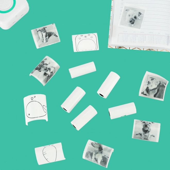 Thermisch zelfklevend papier in rollen voor mini-printer 5,7 cm x 4,5 m 5 stuks