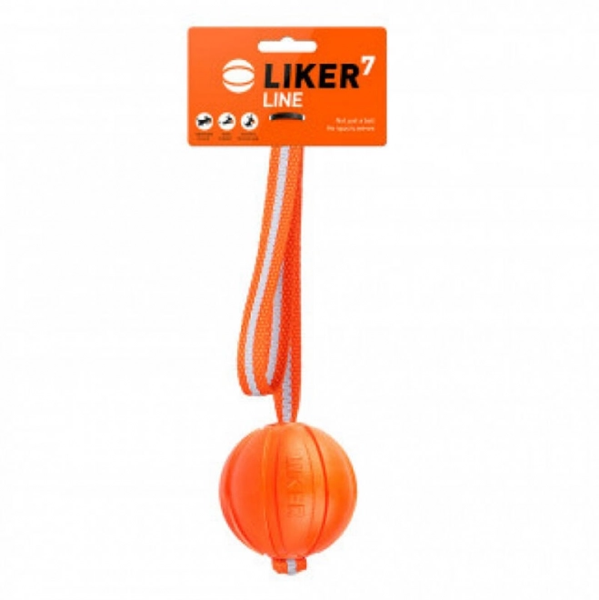 Bal aan touw voor puppy's en kleine honden Liker Line 7 Waudog