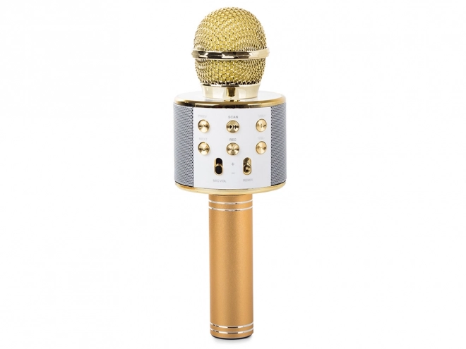 Draadloze bluetooth karaoke microfoon