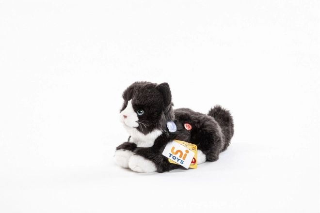 Pluche Kat met Geluid 23 cm