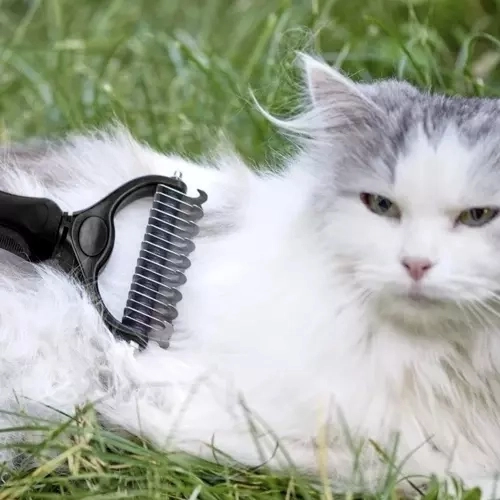 Universeller Felltrimmer für Hunde und Katzen