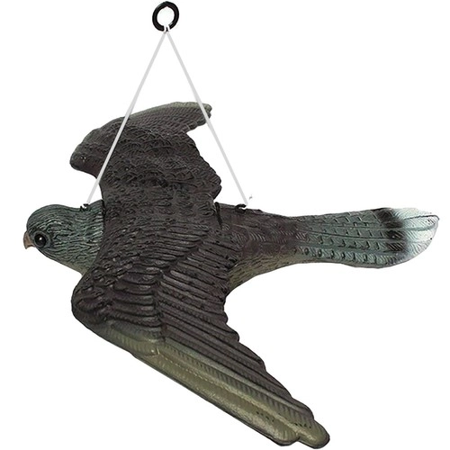 Bird Repellent Falcon
