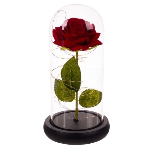 Roos in glas - stralend