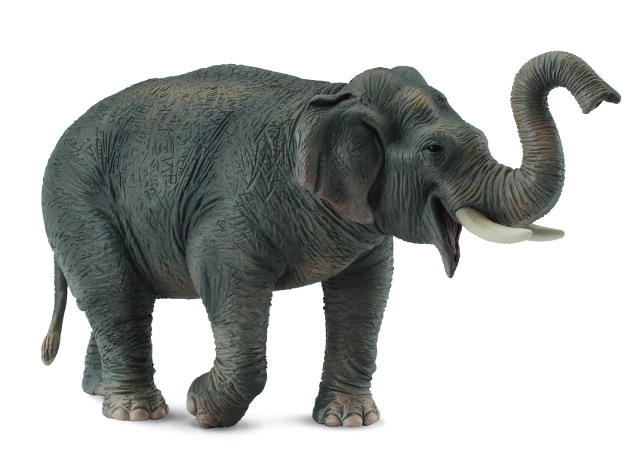Aziatische olifant