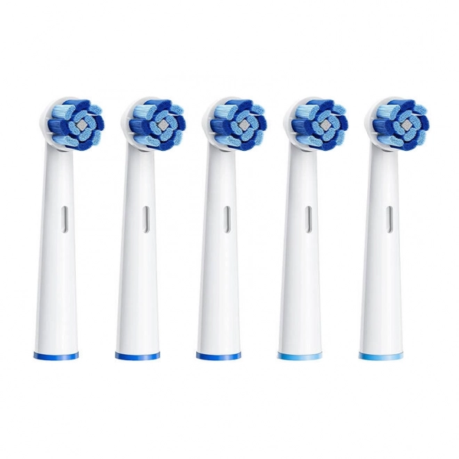 Bitvae Toothbrush Heads