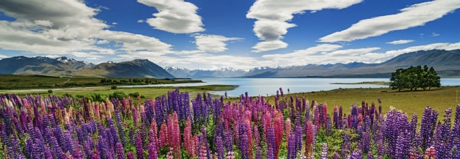 Puzzle 1000 pièces Lake Tekapo