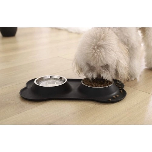 Dual Pet Bowls with Silicone Stand