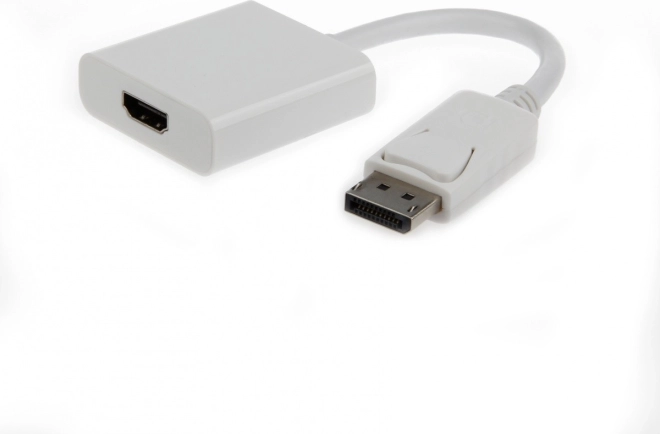 DisplayPort to HDMI Adapter 10 cm