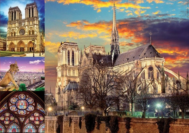 Puzzel Notre Dame collage 1000 stukjes