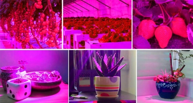 LED lamp voor plantengroei 200 LED E27