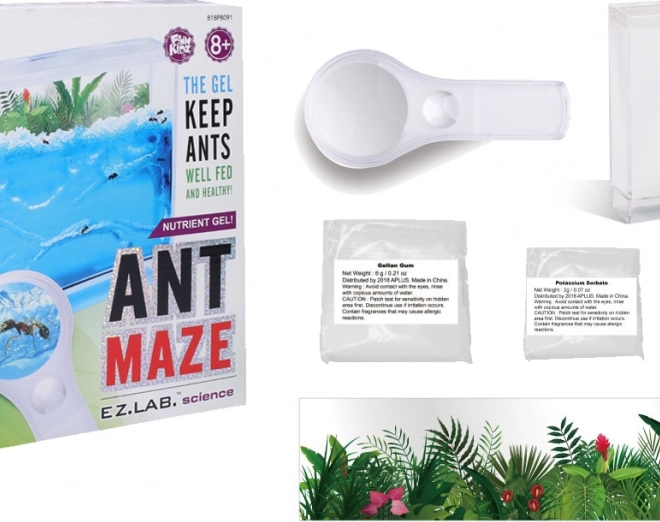Ant Farm with Nutrient Gel