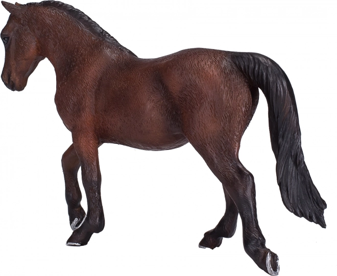 Morgan Palomino Paard