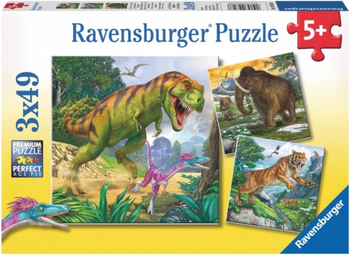 Puzzle Dinosaurs 3×49 pieces