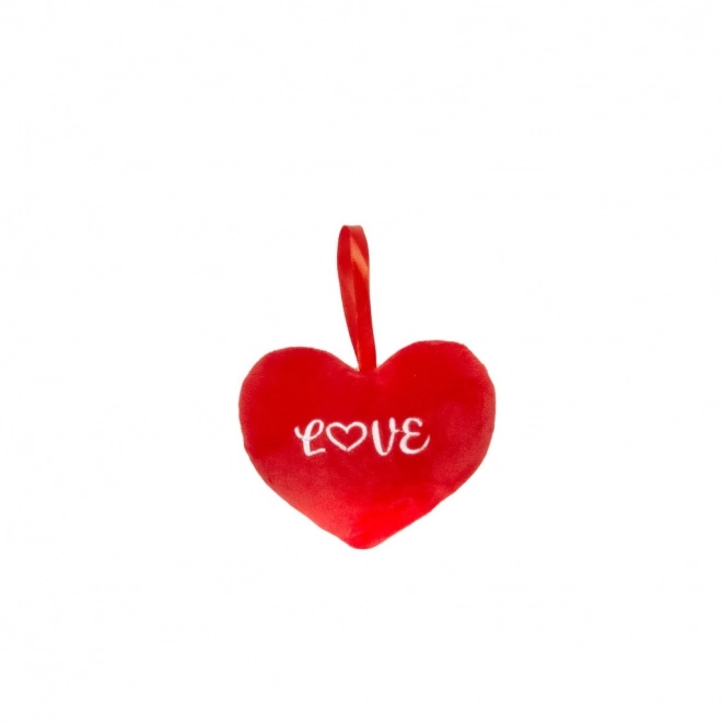 Pluchen hart voor Valentijn - Liefde